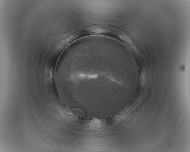 X0000090770330200707201444