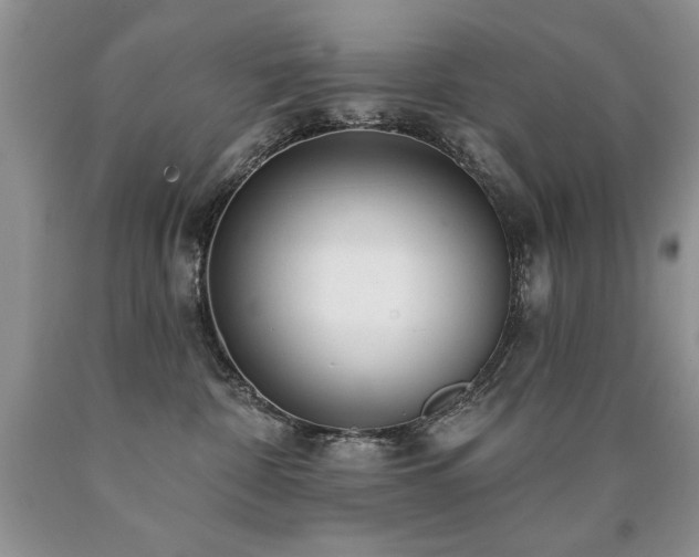 X0000090770332200707201444