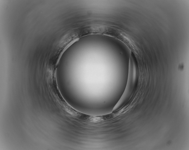 X0000090770333200707201444