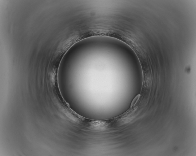 X0000090770334200707201444
