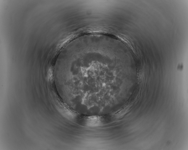X0000090770335200707201444