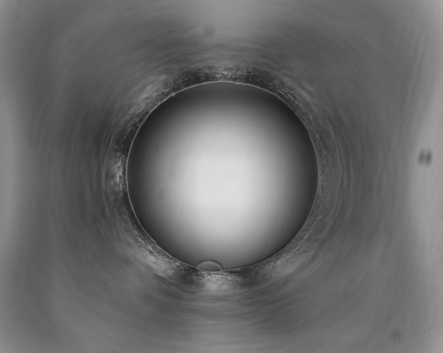X0000090770336200707201444