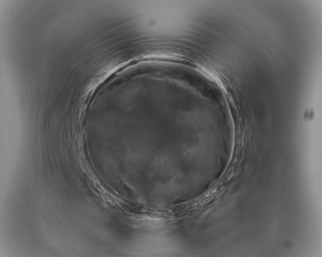 X0000090770337200707201443
