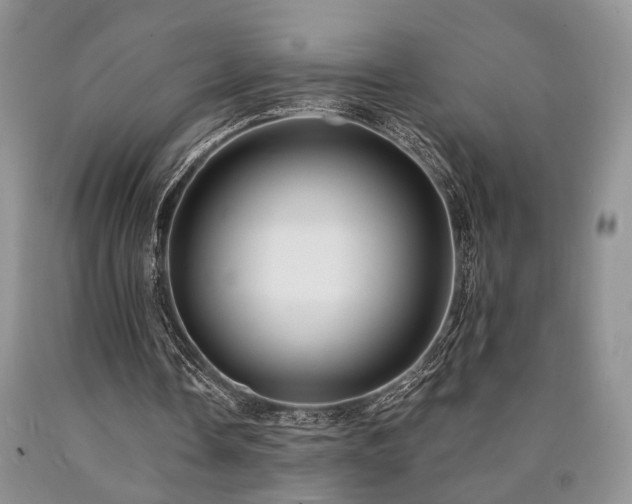 X0000090770338200707201443
