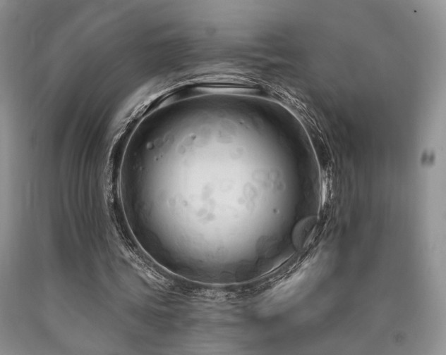 X0000090770339200707201443