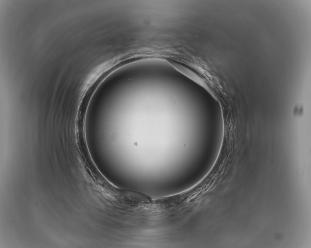 X0000090770340200707201443