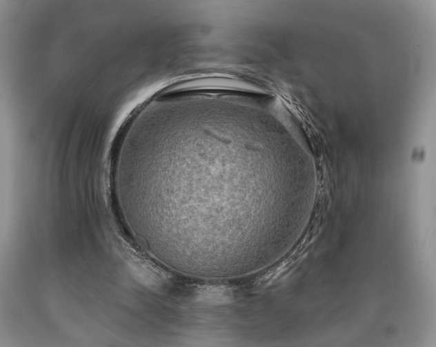 X0000090770342200707201443