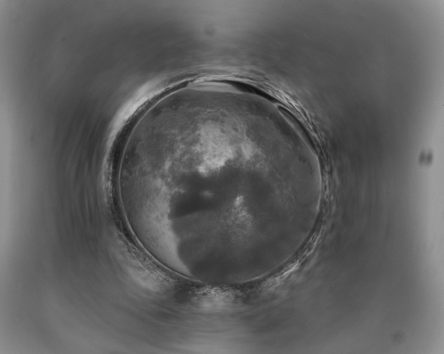 X0000090770343200707201443