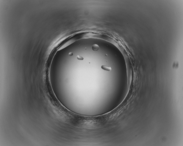 X0000090770344200707201443
