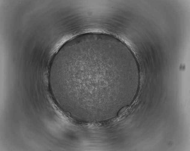 X0000090770345200707201443