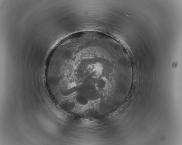 X0000090770346200707201443