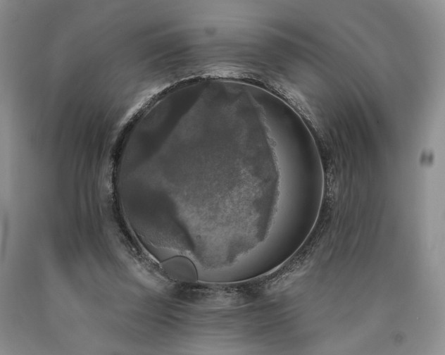 X0000090770347200707201443