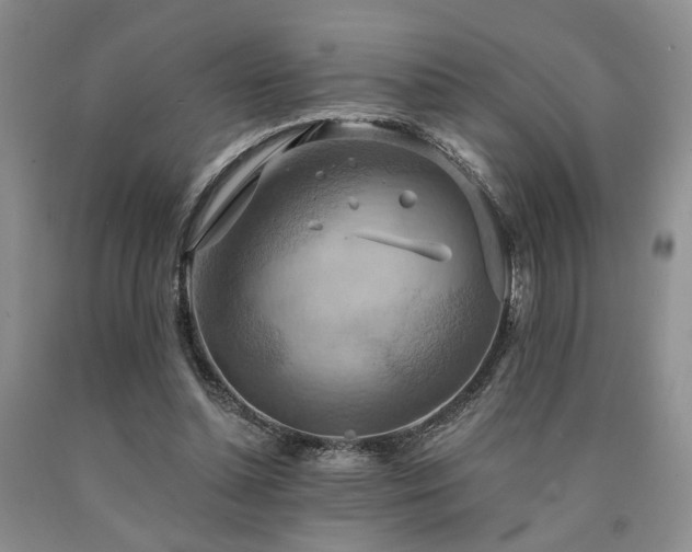 X0000090770348200707201443