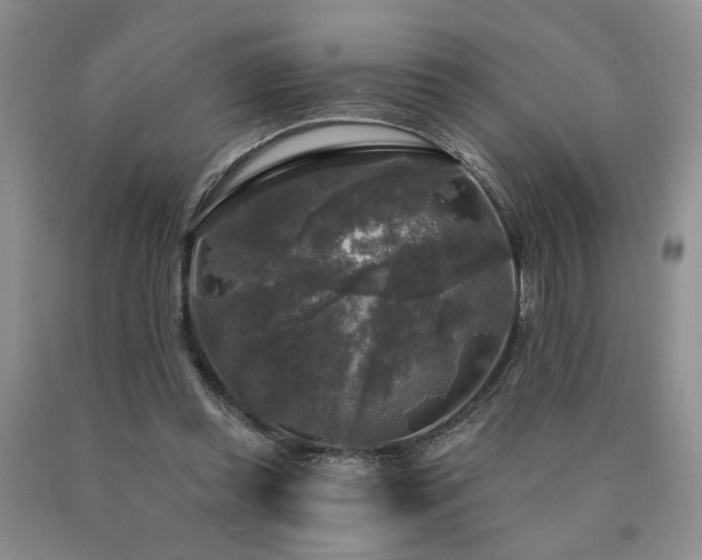 X0000090770349200707201443