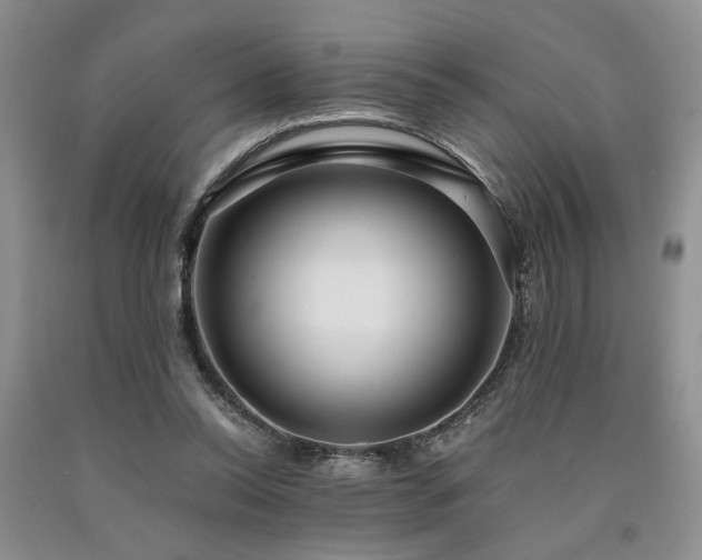 X0000090770350200707201443