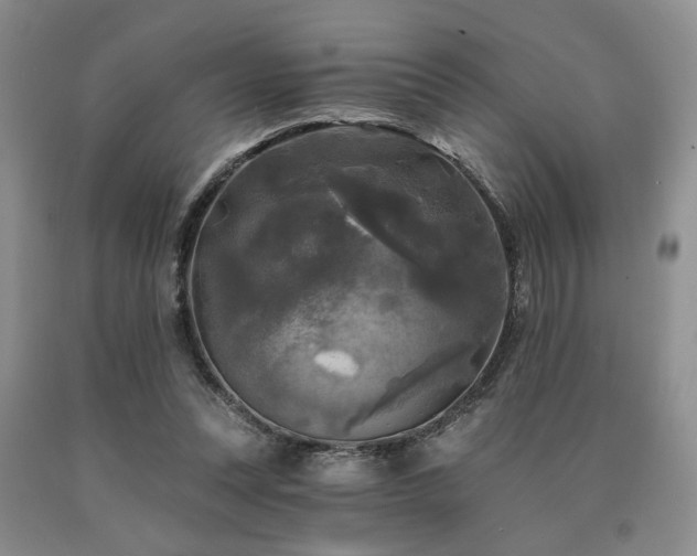 X0000090770351200707201443