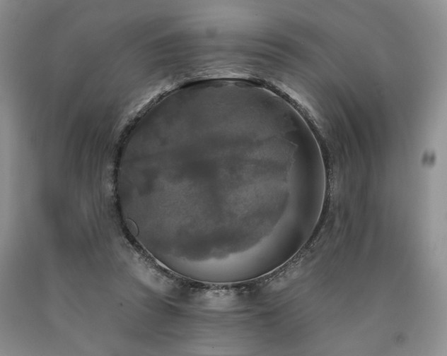 X0000090770353200707201443