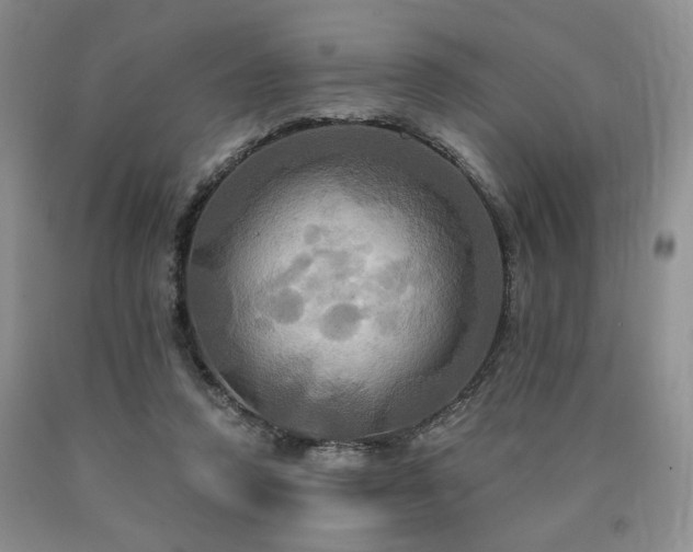 X0000090770354200707201443