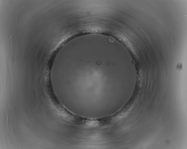 X0000090770355200707201443