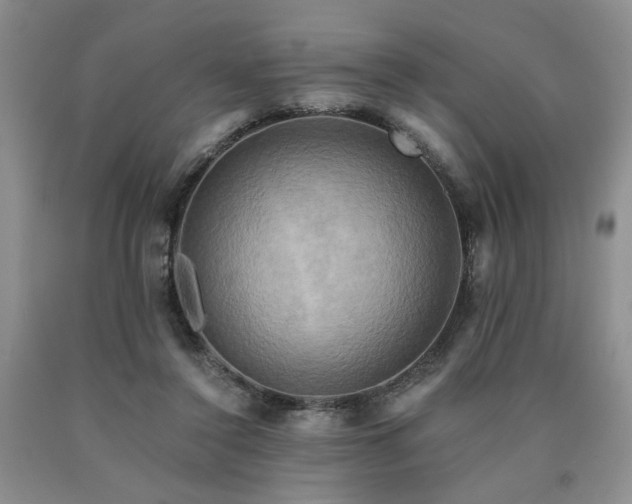 X0000090770356200707201443
