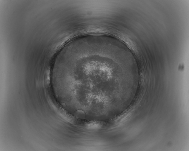 X0000090770358200707201443