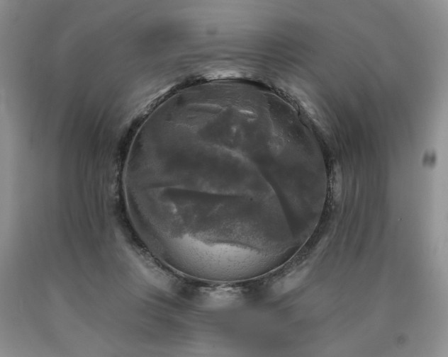 X0000090770359200707201443