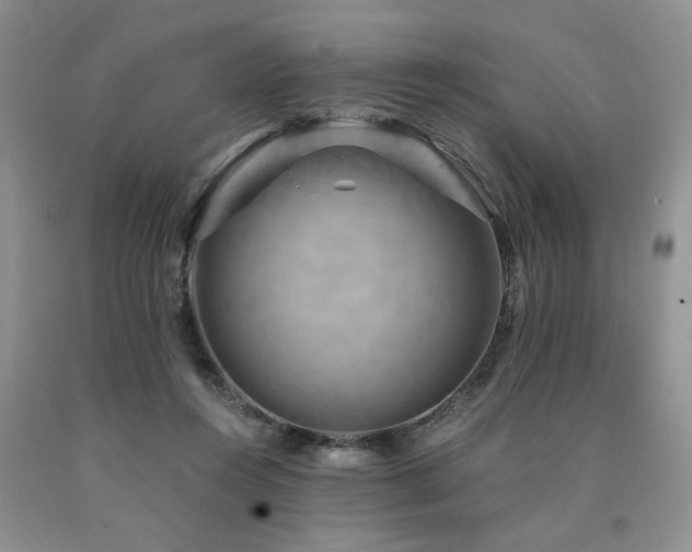 X0000090770360200707201443