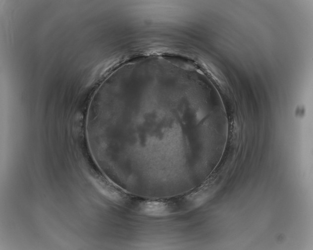 X0000090770361200707201443