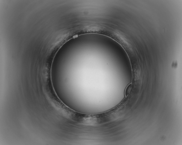 X0000090770362200707201443