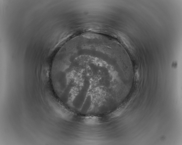 X0000090770363200707201443