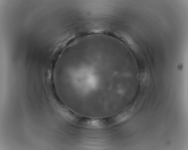 X0000090770365200707201443