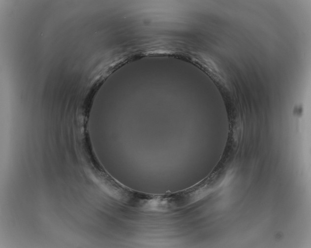 X0000090770366200707201443
