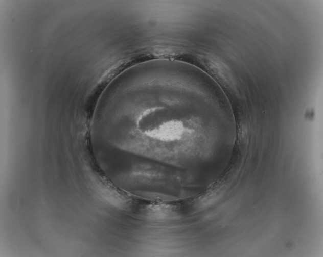 X0000090770367200707201443