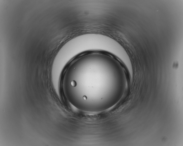 X0000090770368200707201443