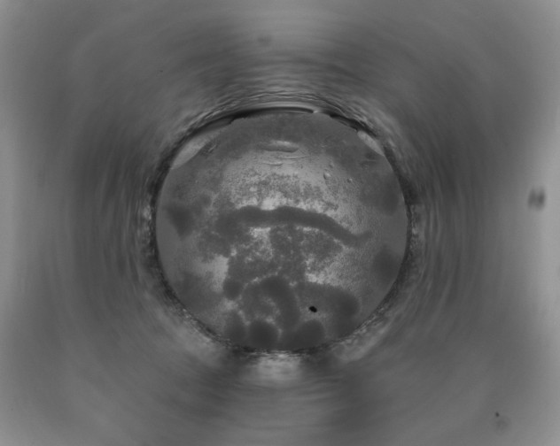 X0000090770369200707201443