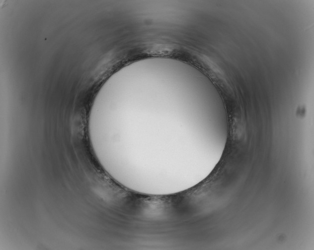 X0000090770370200707201443