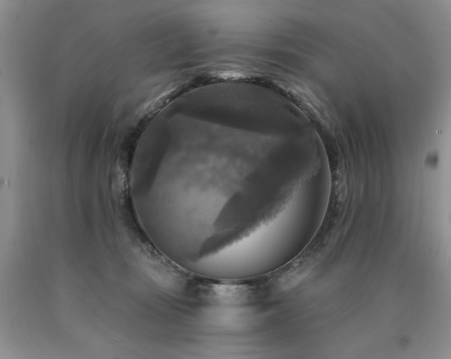 X0000090770371200707201443