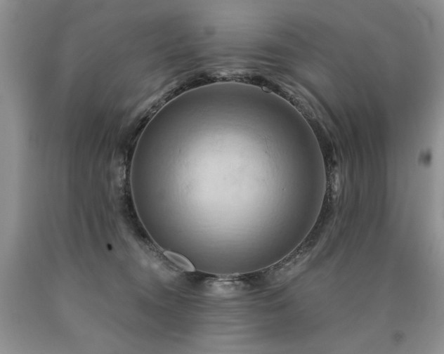 X0000090770372200707201444
