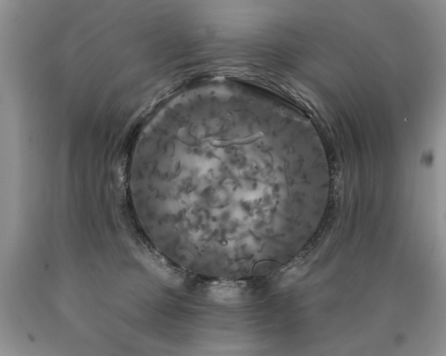 X0000090770373200707201444