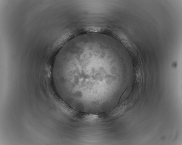 X0000090770374200707201444
