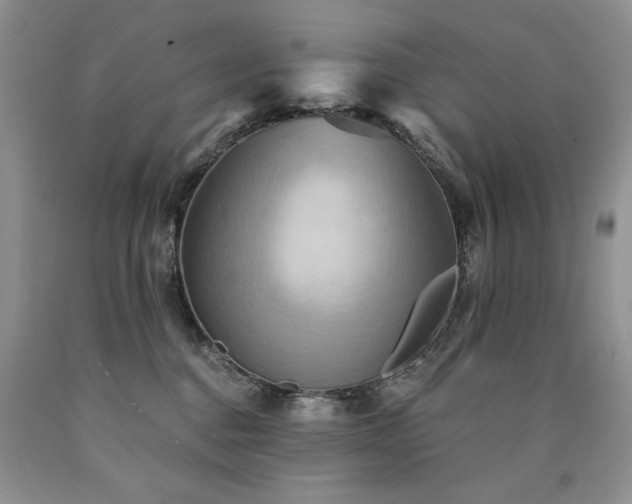 X0000090770376200707201444