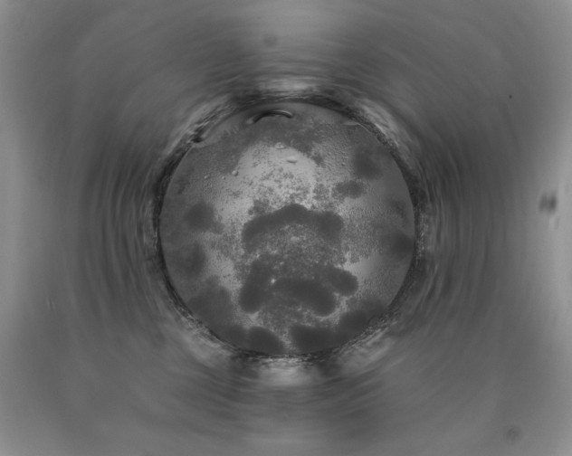 X0000090770377200707201444
