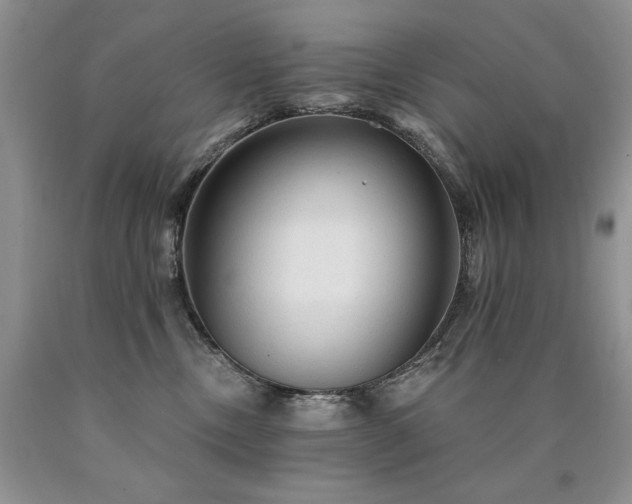 X0000090770378200707201444
