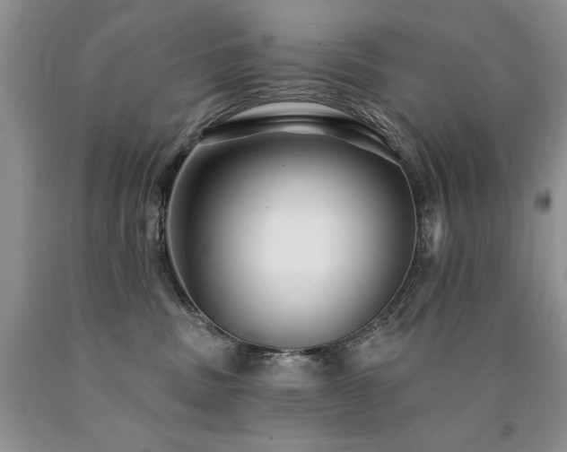 X0000090770379200707201444