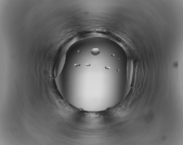 X0000090770380200707201444