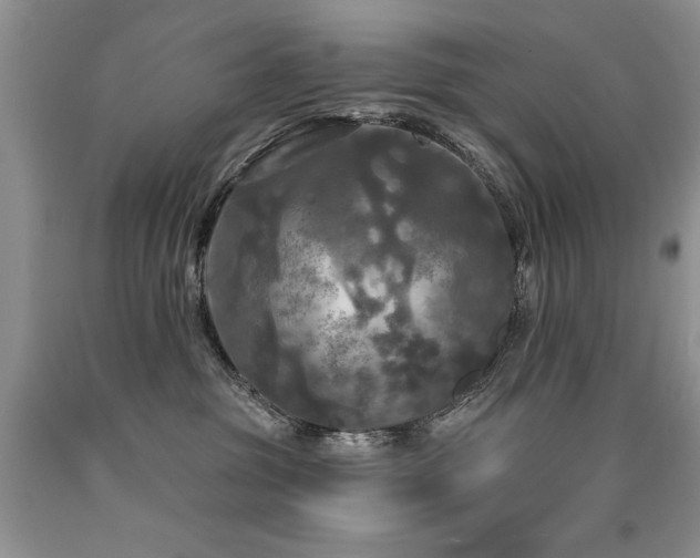 X0000090770381200707201444