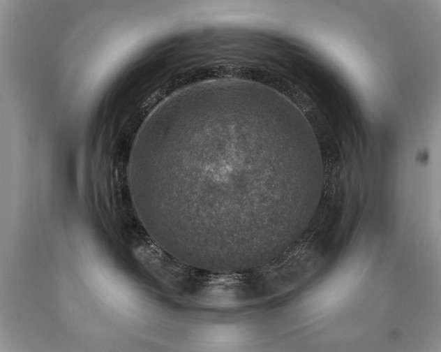 X0000090770382200707201444