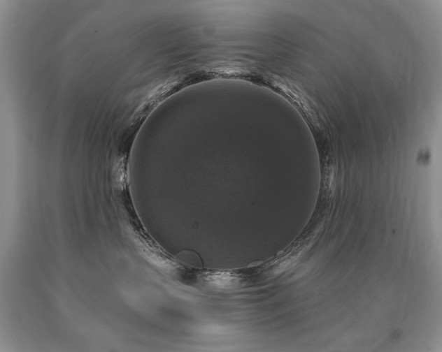 X0000090770383200707201444