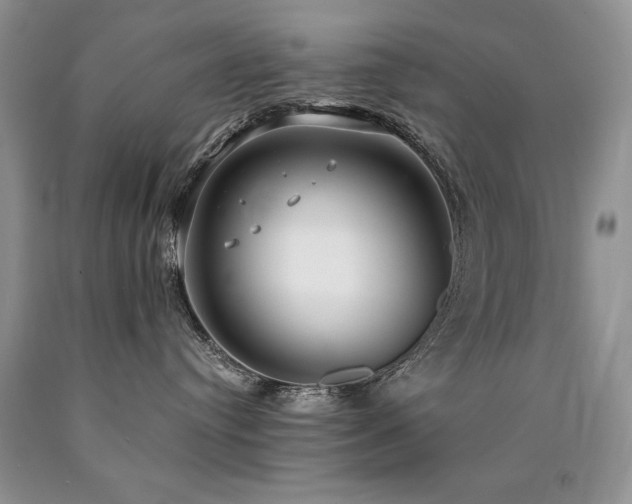 X0000090770384200707201444