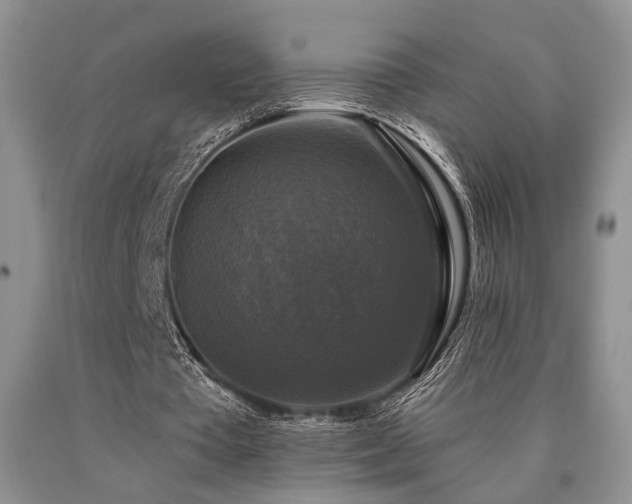 X0000090770385200707201443